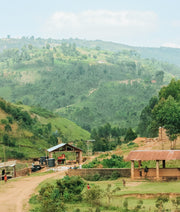 Efficient Stoves